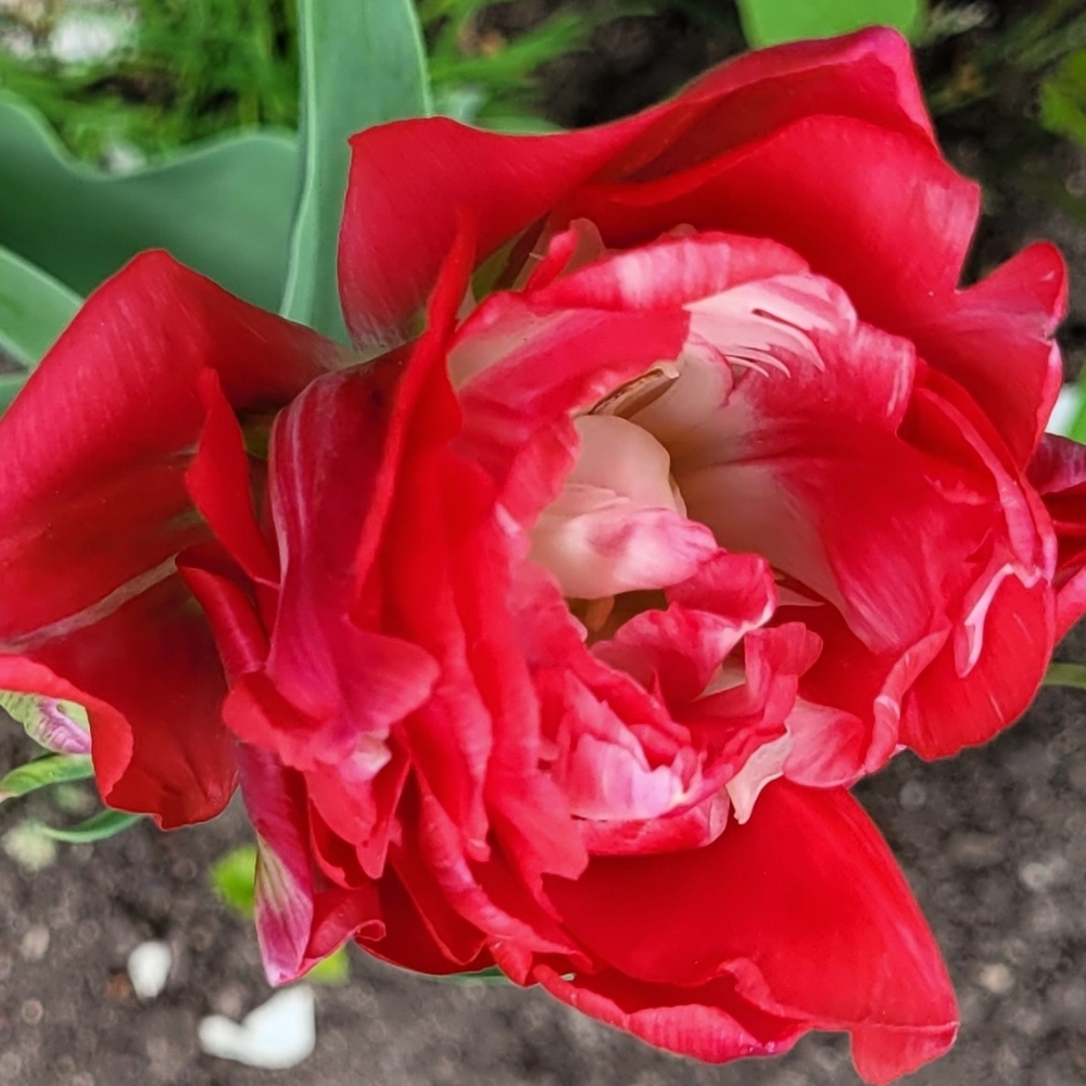 Meet your Posher, Sofia